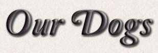 Our Dogs Logo